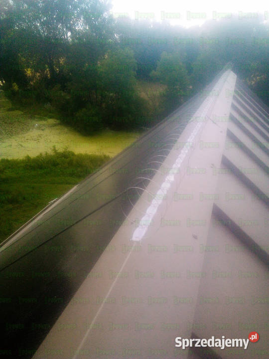 Montaż kolców na gołębie Warszawa Montaż Siatki