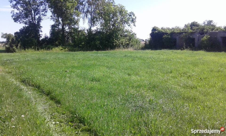Sprzedam działkę mazowieckie Lipniki Stare sprzedam