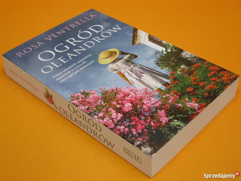 Rosa Ventrella Ogród OleandrówFA