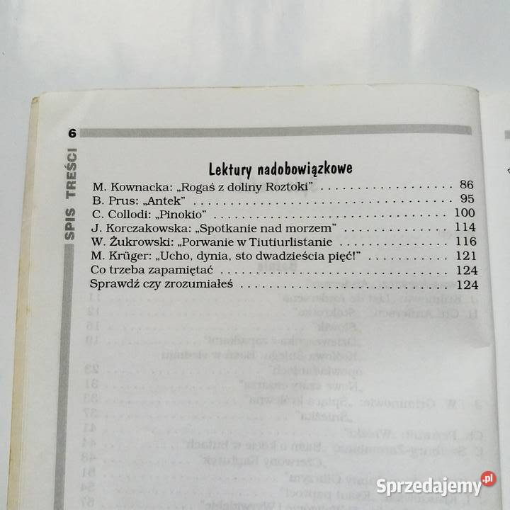 BWłodarczyk Streszczenia Język polski szkoła Łódź