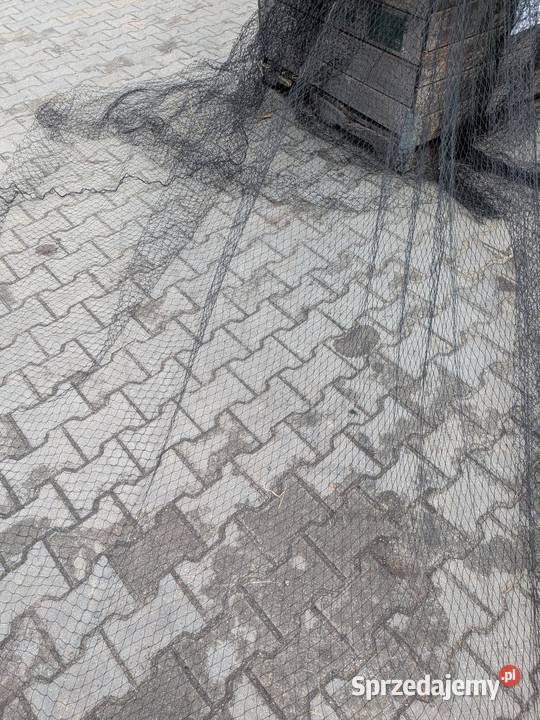 Siatka na ptaki Goszczanowiec
