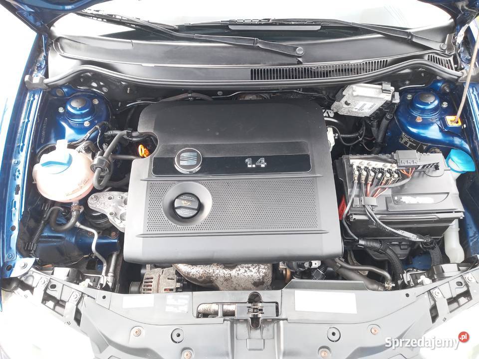 Seat Ibiza 2004r 14 16V 101 Pionki