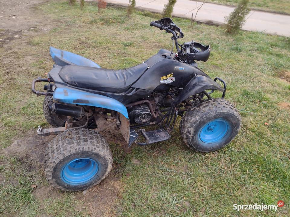 Quad 110125 31 pół automat Pozostałe Grybów sprzedam