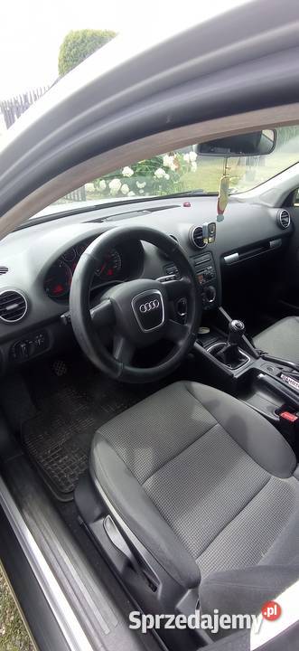 Audi A3 8P 19 TDI Końskie