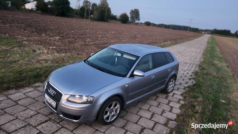 Audi a3 8p 19tdi navibose super stan