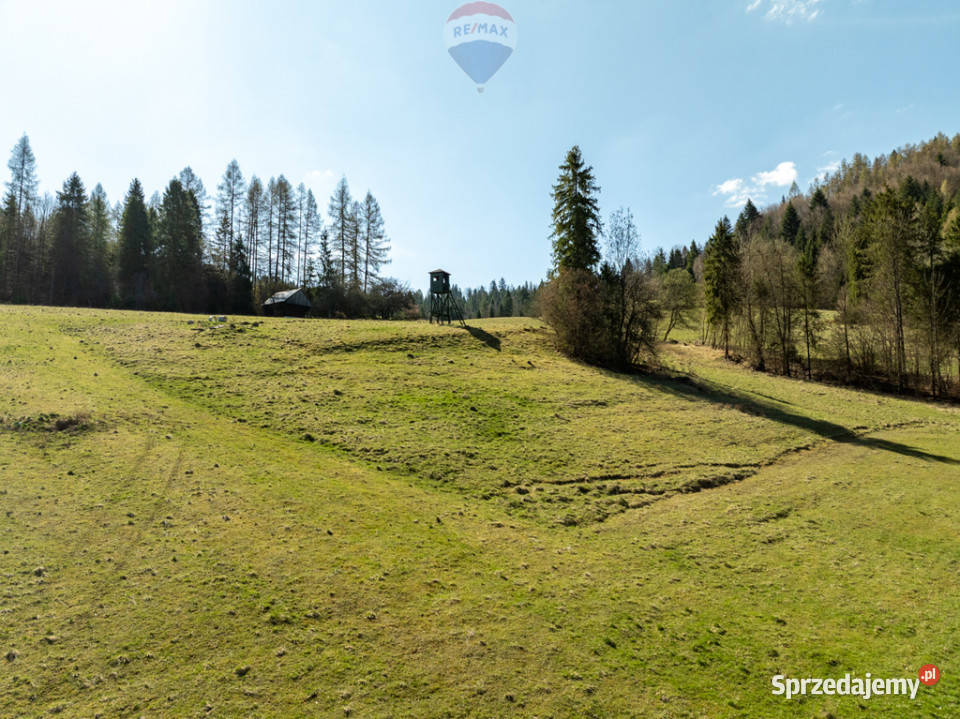 Działka widokowa Szlachtowa ok 4395 m Sprzedaż