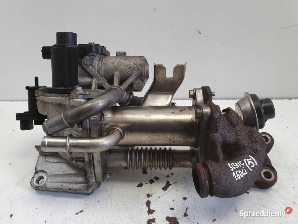 Renault Scenic III 15 DCI CHŁODNICA SPALIN egr osobowe Rudka