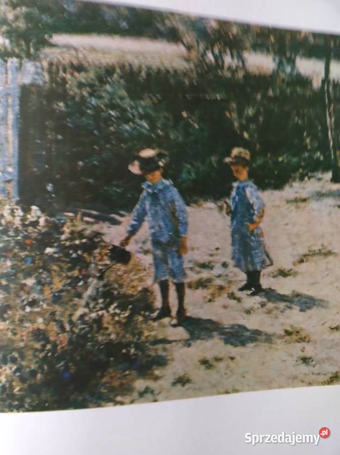 Album Różne kolory Żory sprzedam