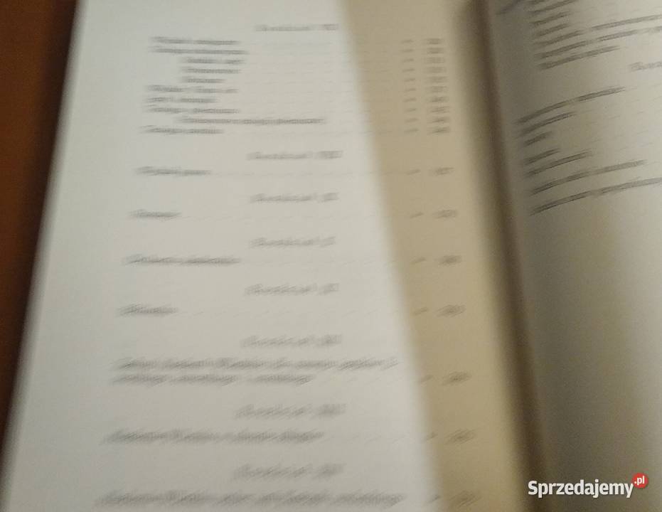 Rozkwit Akademii Wileńskiej w latach 16001655 pomorskie Gdańsk