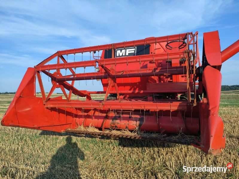 Massey Ferguson 240 inne Ferguson 307440 Kombajny lubelskie