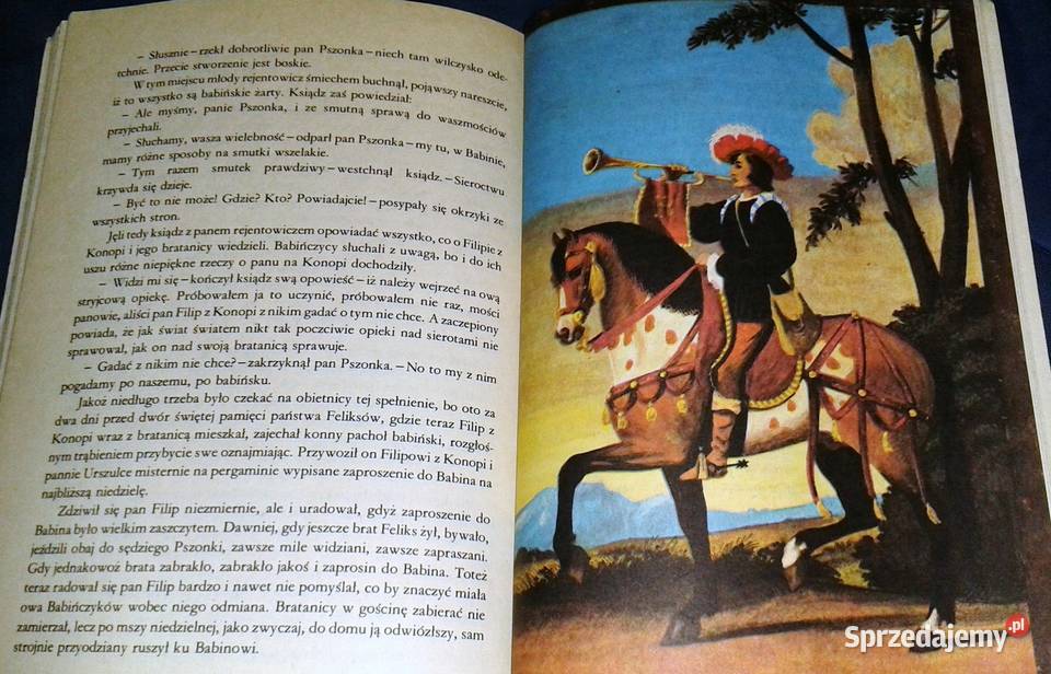 Halabarda Pana Błażeja Anna Lisowska Chełm