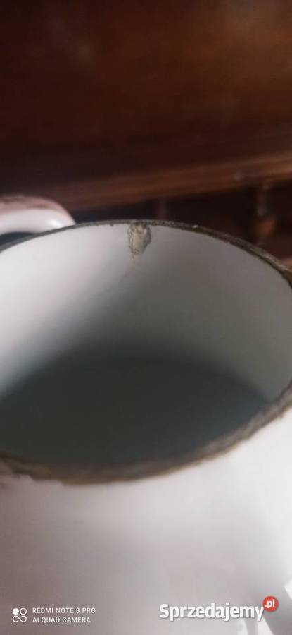 Amfory Amfora Wazon BG
Niebieska syg BG185394 Gdańsk