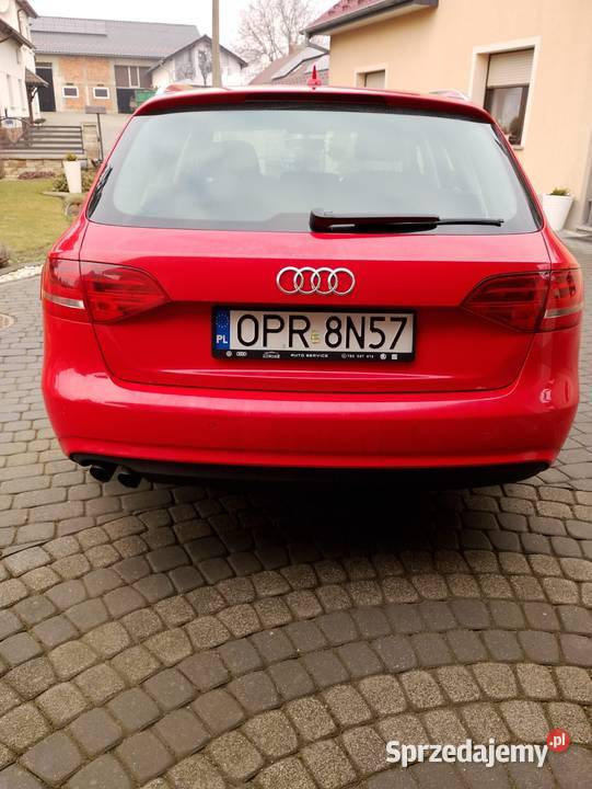 Audi A4 B8 Biedrzychowice
