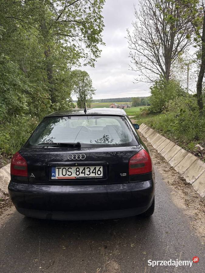 Samochód Audi A3 Ostrowiec Świętokrzyski sprzedam