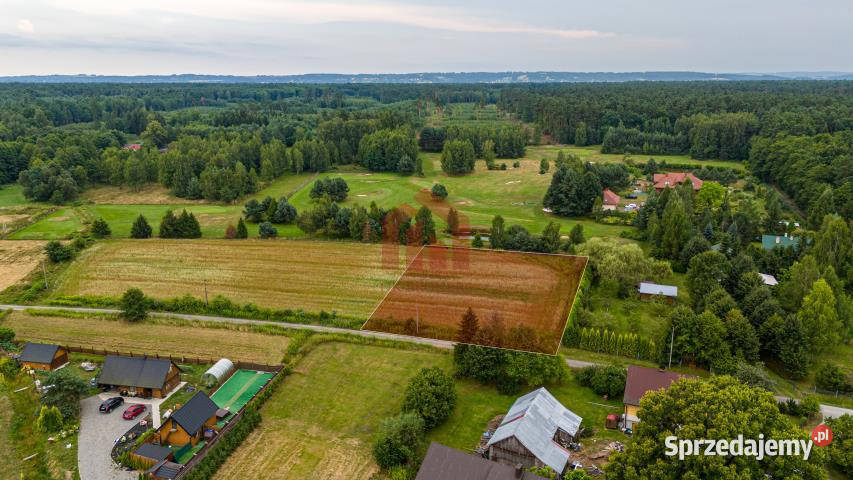 sprzedaży działki Krzywa 3100m2