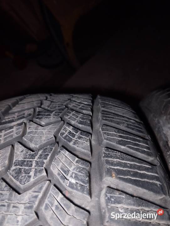 2 opony zimowe Dębica hp2 205 55 16