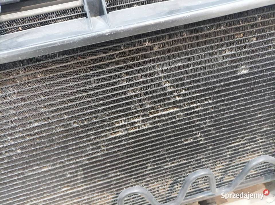 PAS PRZEDNI Audi A6 II 19972004 C5 osobowe świętokrzyskie
