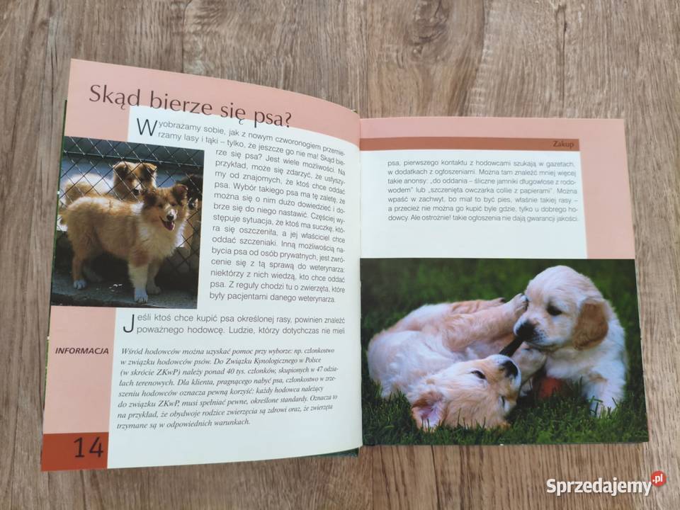 Album Książka PSY twarda