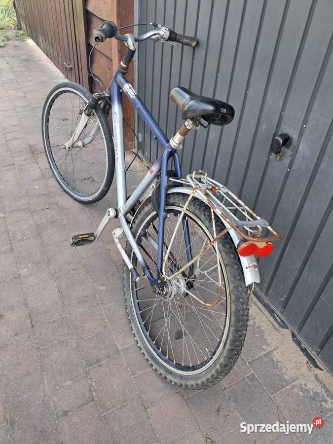 Rower gazelle gazela