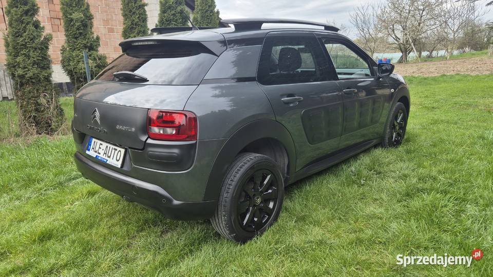 CACTUS 16 110 OPŁACONY BEZWYPADKOWY Rzeszów