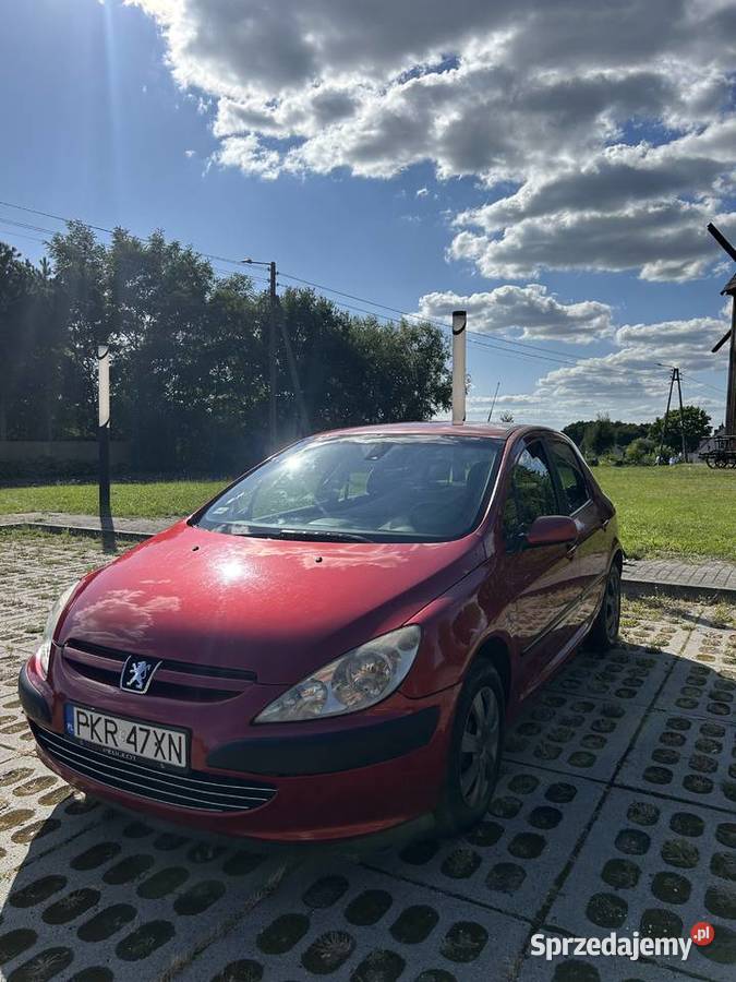 Zadbany Peugeot 307 20 HDI