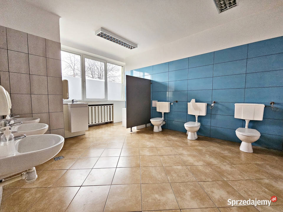 Lokal na placówkę edukacyjną 250m2 Lublin Głusk