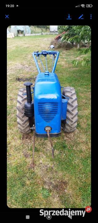 Dzik traktorek Pozostałe Mordy