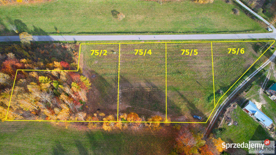 sprzedaży działki TeodorówkaKolonia 2644m2 Teodorówka-Kolonia