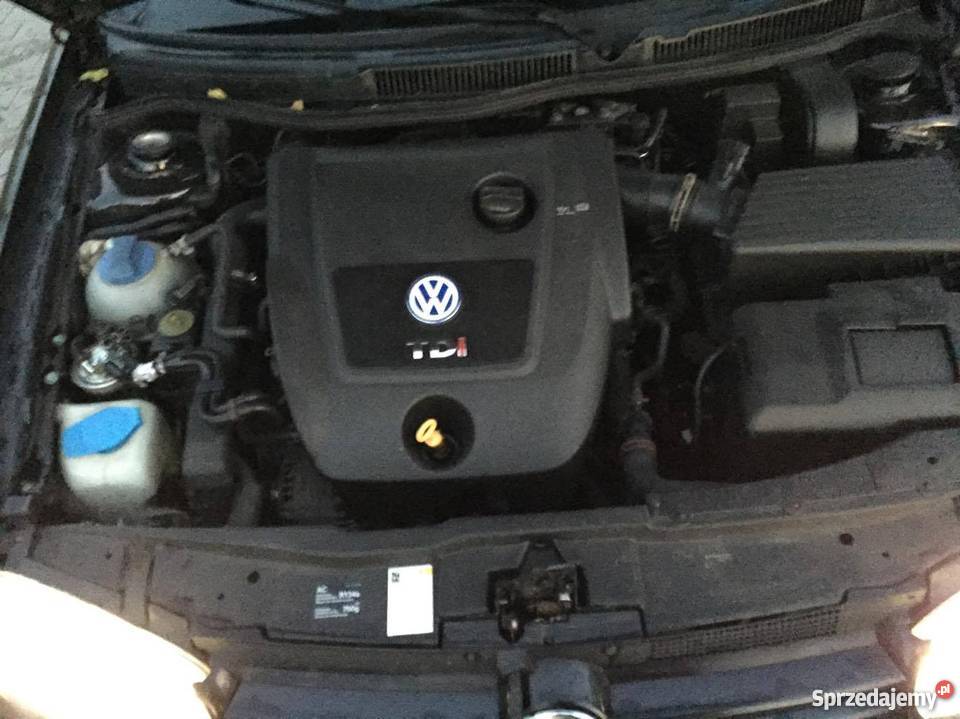 Volkswagen Golf IV 4 19 TDI PACIFIC Sulechów