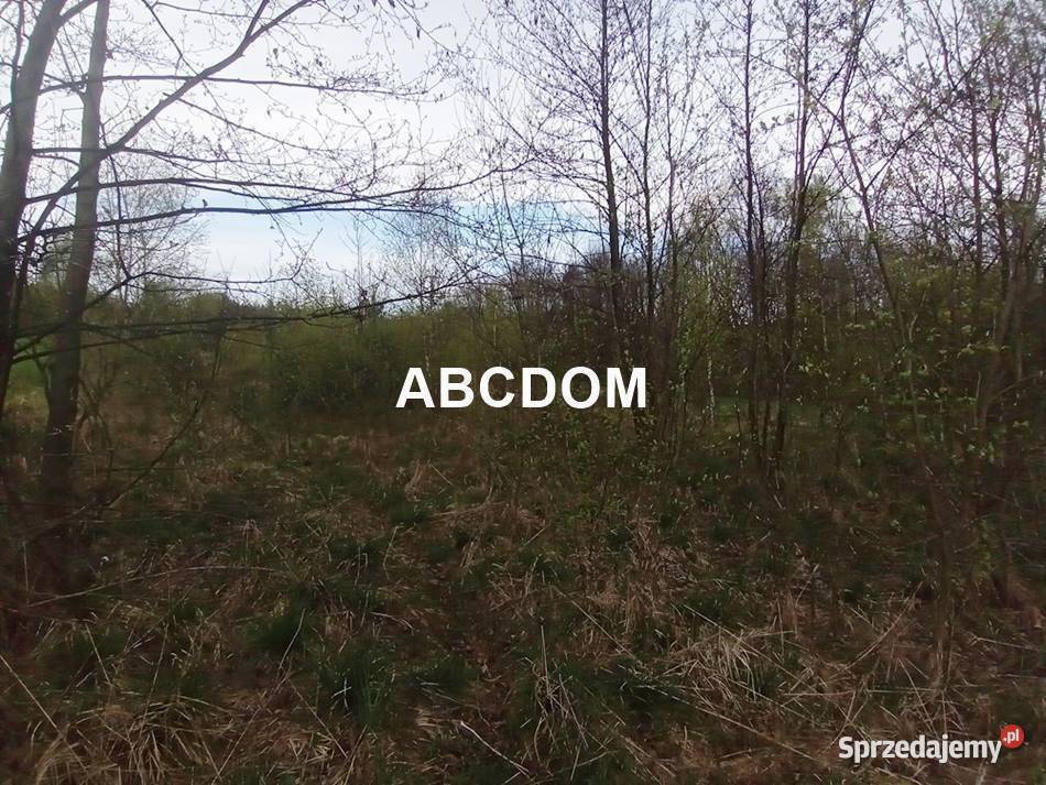 Raciborsko 39 ara łąki Tereny Z las Tereny ZL sprzedam