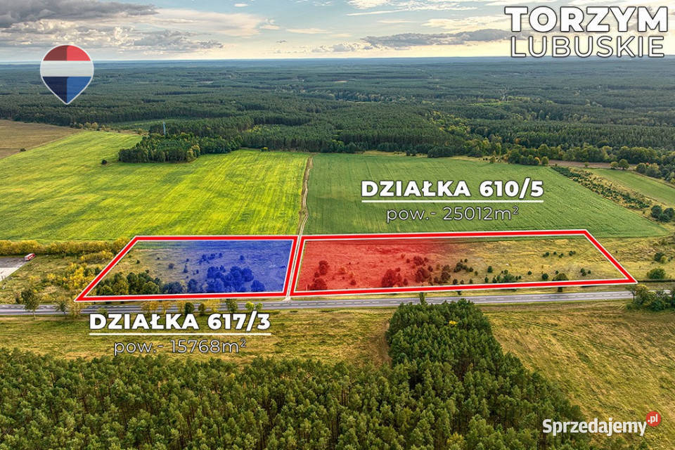 Na sprzedaż 2 działki z potencjałem Torzym