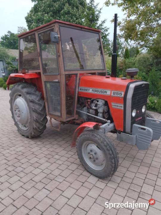 sprzedam massey fergusona 255 Szczytniki sprzedam