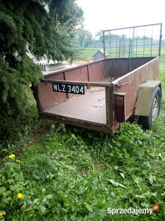 Przyczepka lekka Lubień Kujawski