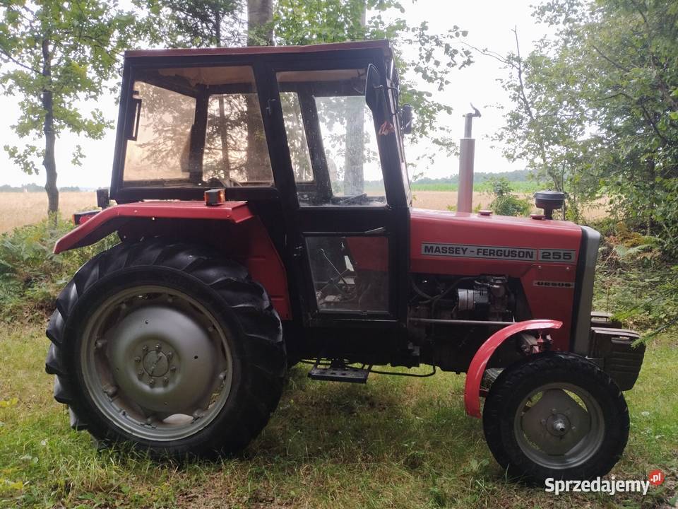 Sprzedam MF 255 Janów Lubelski sprzedam