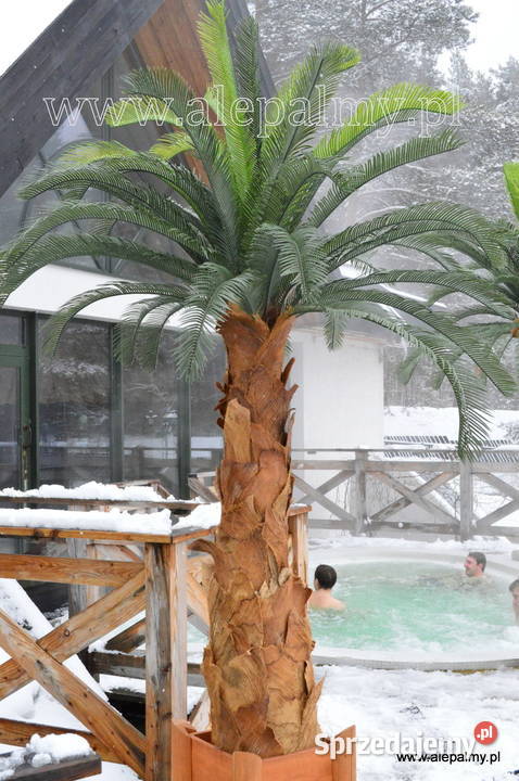 Palma Cykas 3m całoroczna sztuczne drzewka Wąbrzeźno sprzedam