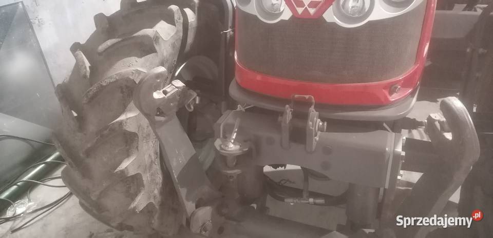 Massey ferguson 5608 5609 polski pierwszy Kowalewo Pomorskie