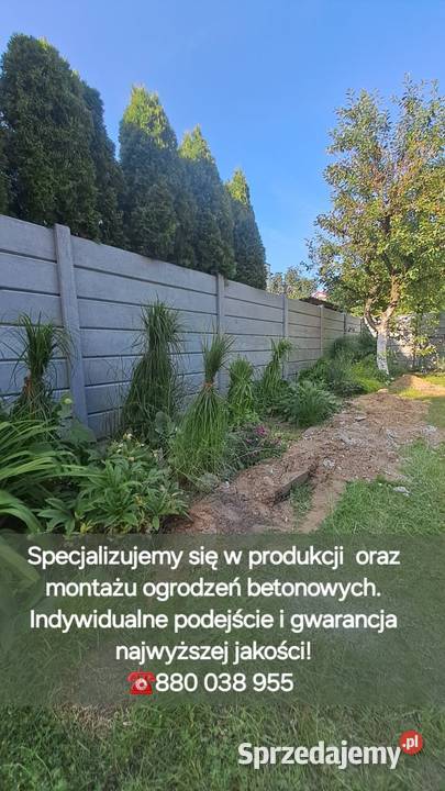 Ogrodzenia betonowe Trzebnica