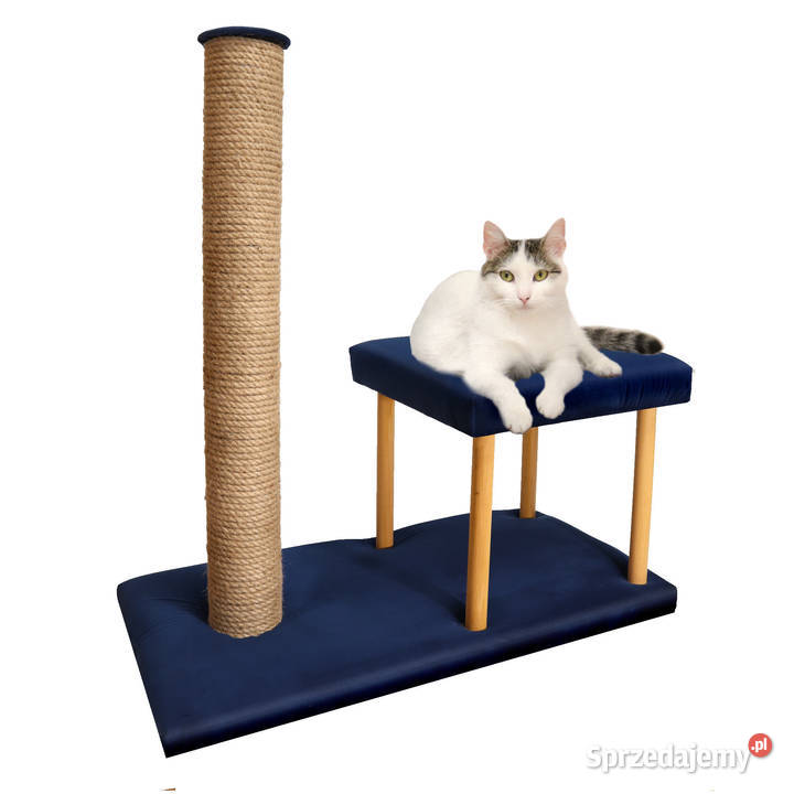 DRAPAK KOTA W NOWOCZESNYM STYLU funkcjonalny Katowice