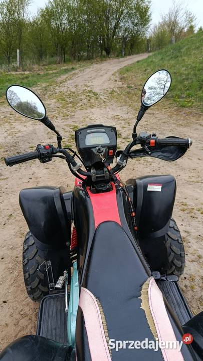 Bashan Ontario 150ccm łańcuch Laseczno
