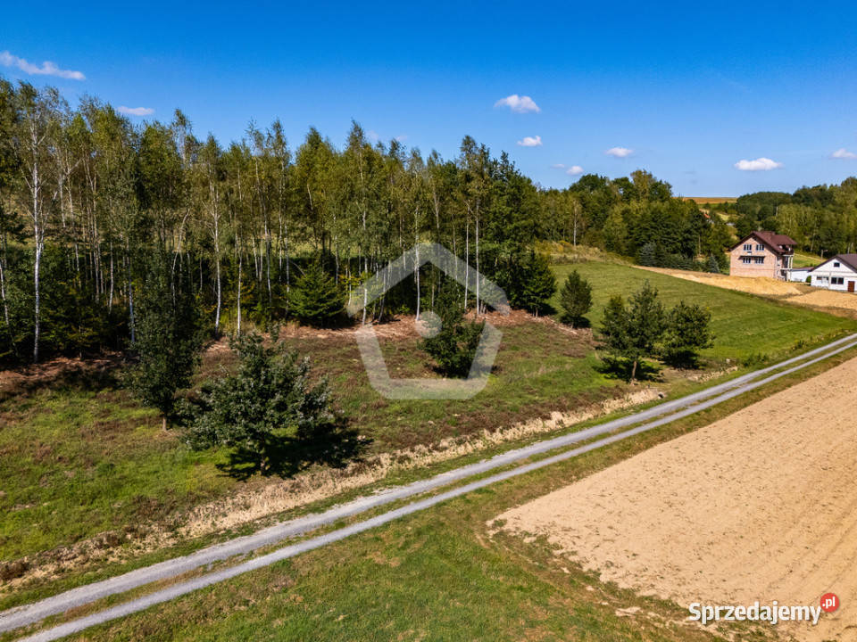 Działka lesie z WZ 34 ar 16 ar las Zagorzyce