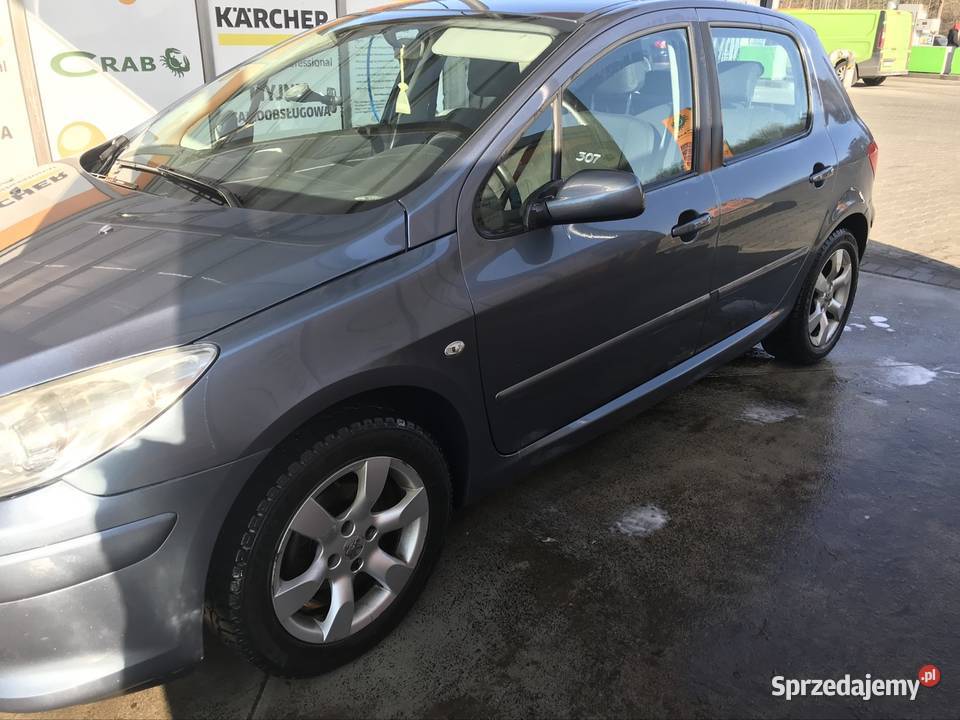 Peugeot 307 Zendek