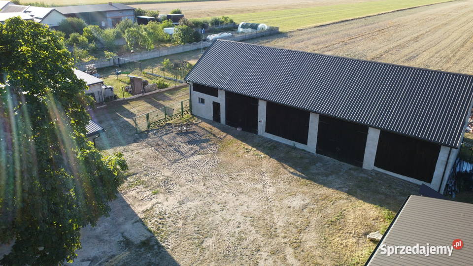 Siedlisko dom pod lasem Kamionka Bolesławiec