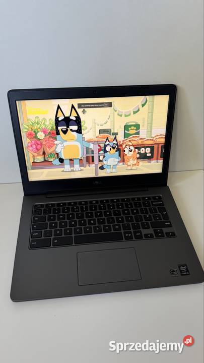 Dell Chromebook 7310 matrca Fullhd 13 sklep Play USB 3.0