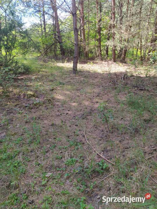 Działka budowlana z dostępem do jeziora Janopol