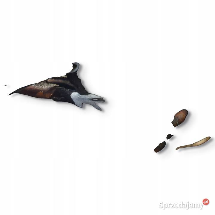 SPRĘŻARKA KLIMATYZACJI Opel Astra III H 14 16V Chełm