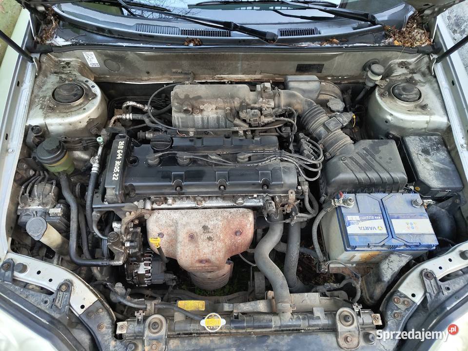 Hyundai coupe Tuscani 20 GLS 143 Coupe dolnośląskie Legnica