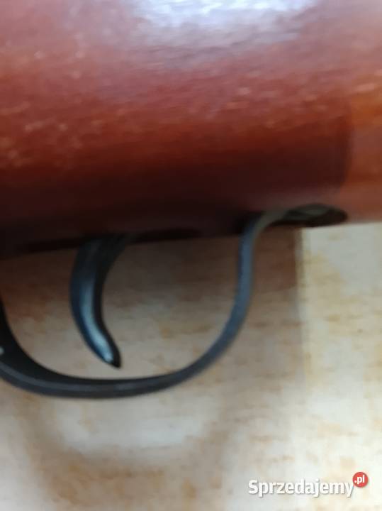 Hanel 310 Ciechanowiec