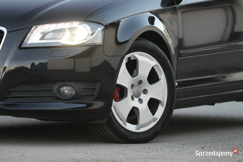 Audi A3 8P 2011r 12 Benzyna ALUSY biXENON opolskie Nysa