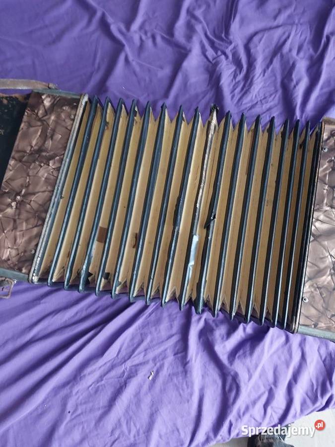 Akordeon Hohner Instrumenty klawiszowe i MIDI Baby Górne