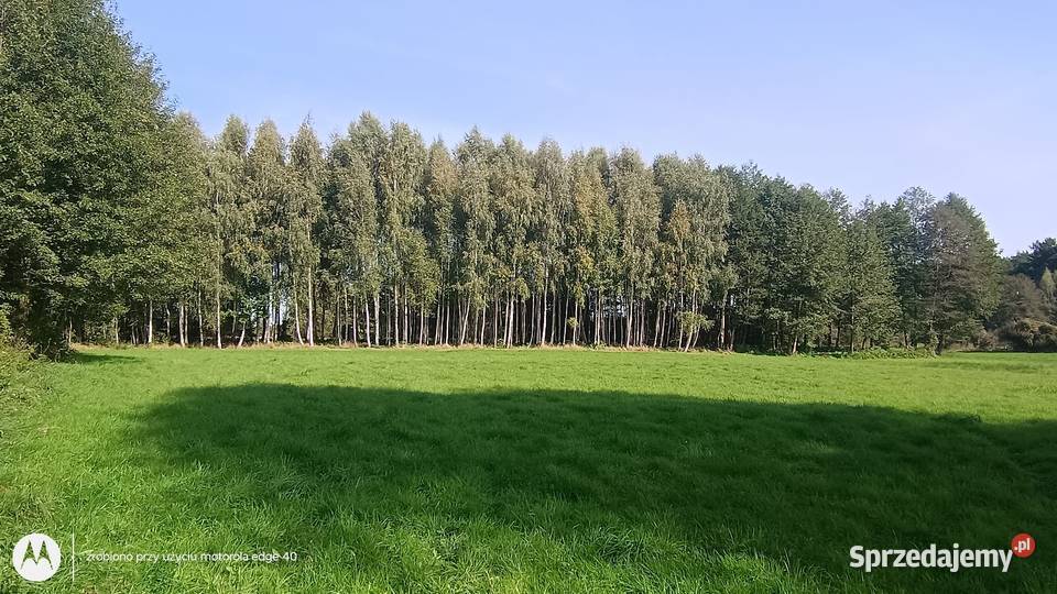 Dziewicza działka z linią brzegową rzeki Wkry 05 Nieruchomości Szyjki